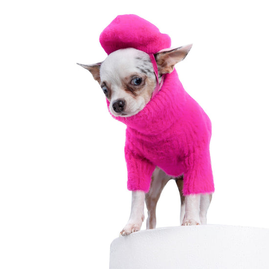 Loves It Dog Sweater & Hat by Moshiqa