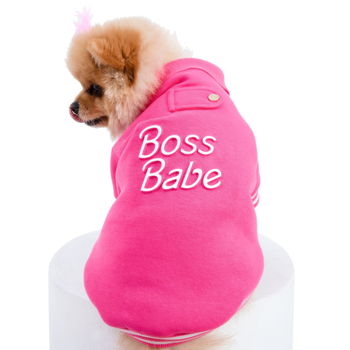 Boss Babe Dog Sweatshirt by Moshiqa