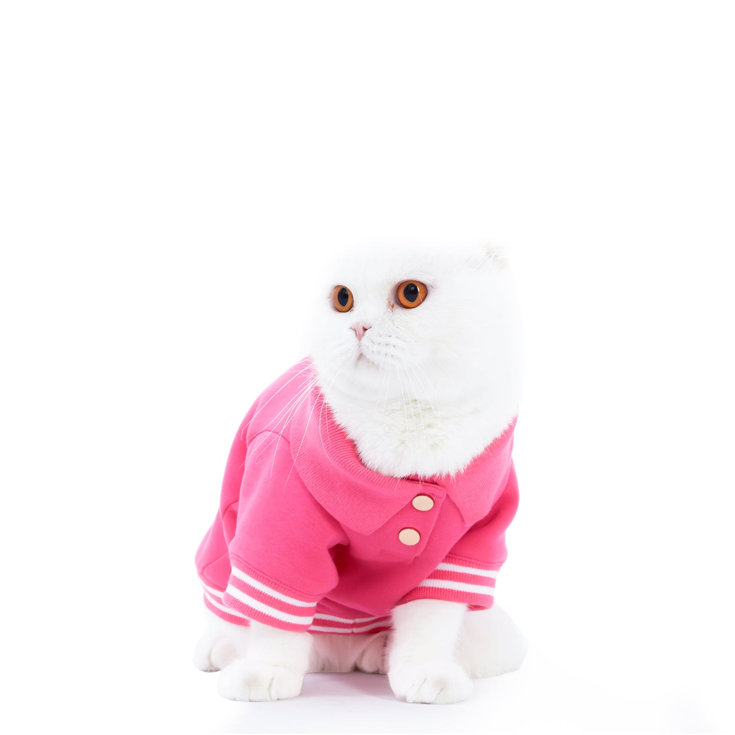 Load image into Gallery viewer, Boss Babe Cat Sweatshirt by Moshiqa
