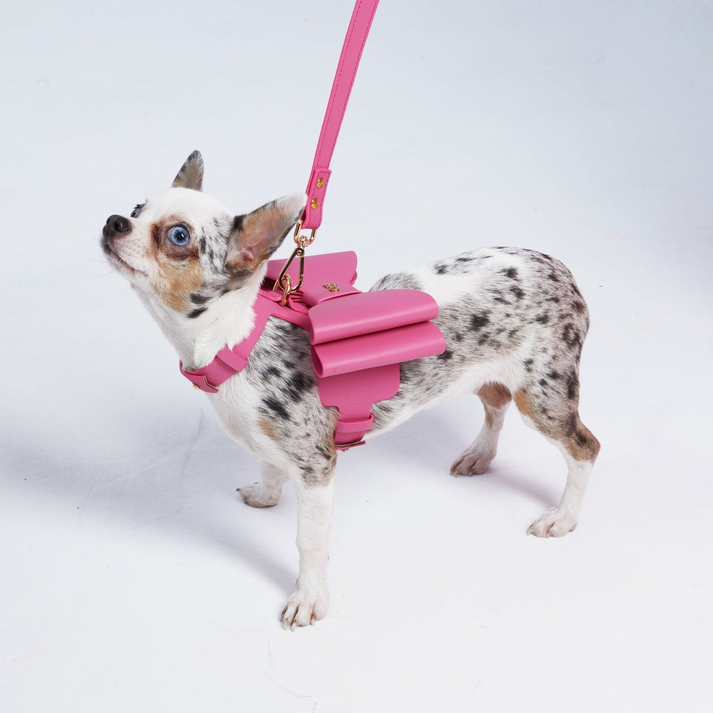 Load image into Gallery viewer, Metapink Bow Dog Harness by Moshiqa
